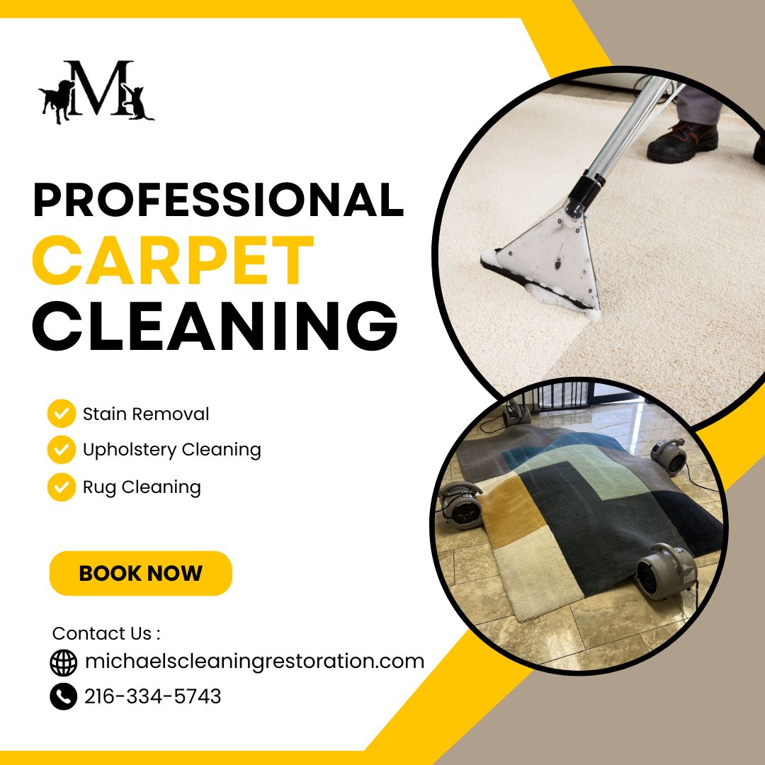 Revive Your Carpets With Professional Carpet Cleaning In San Antonio!